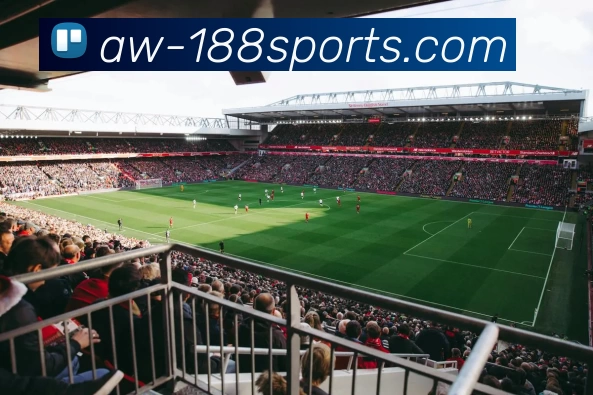 188体育官网入口平台生态图